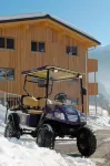 Montafon Chalets