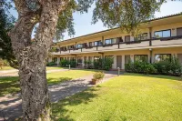 Hotel Airone Isola d'Elba Hotels near Spiaggia di Capo Bianco