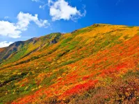 Hotel Shibataya Hotels in Tome