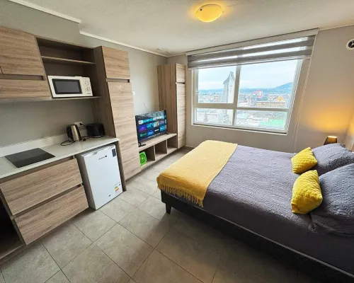 Apart Hotel Bauerle & Apartamentos Hotels in Temuco