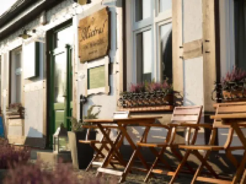 Dom Wakacyjny Mistral Hotels in Slupski