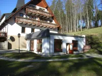Hotel Und Restaurant Köhlerhütte - Fürstenbrunn Hotels in Schwarzenberg