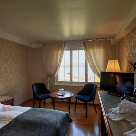 Hotel Schiff am See Hotels in Murten