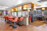 O'Shea's Royal Hotel - bar