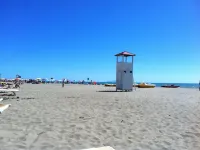 Hotel Grifone - Beach