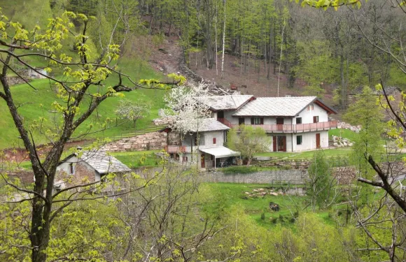 喜悦中心公寓式酒店