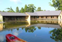 指宿溫泉 溫泉水泳池與夫婦露天風呂的祕境旅館 悠離庵