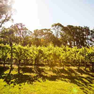 Polperro Villas Hotel Exterior
