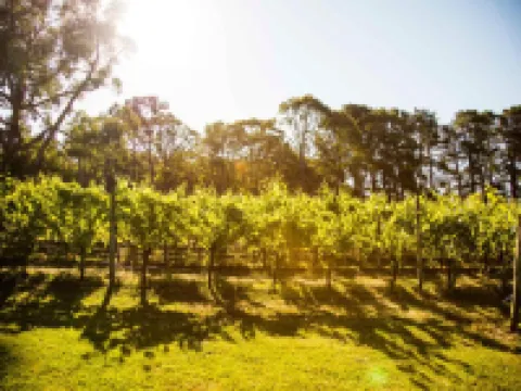 Polperro Villas Hotels in Dromana