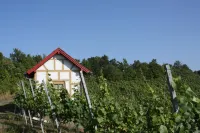 Hotel Schwarzer Adler Hotels in Neuhof an der Zenn
