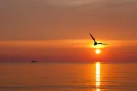 珀爾因塞爾酒店