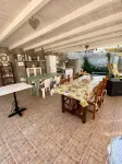 B&B Tigrillo