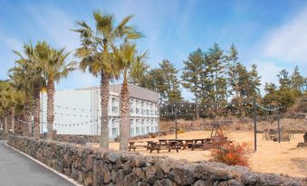 3. 담모라 호텔앤리..