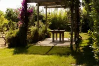 Casale alle Vigne