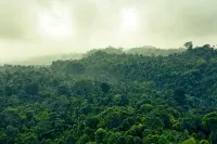 Ruhija Gorilla Guest house