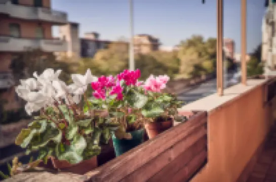 Travelershome Ciampino 212 Central Station