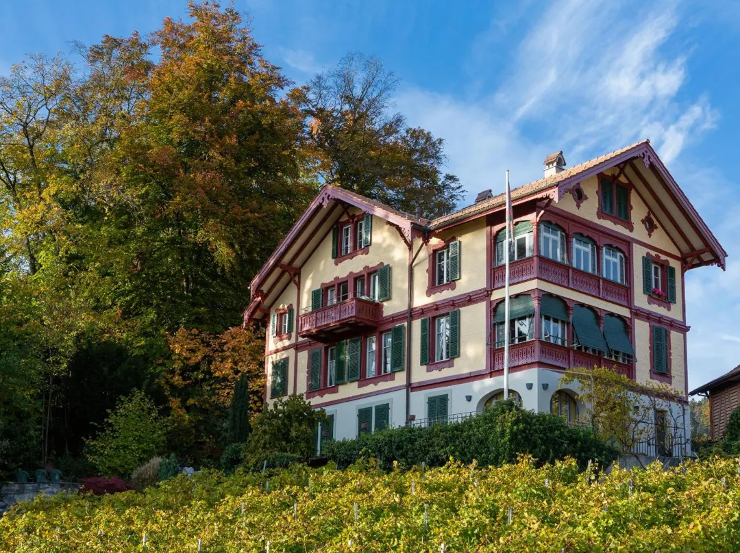 Schönbühl Hotel & Restaurant Lake Thun - Thun