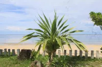 YAMA APARTMENTS - Private Beachfront - Ocean View