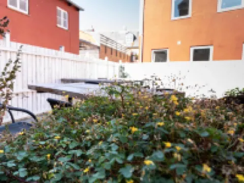 Hotel Harmonien Hoteles en Nakskov