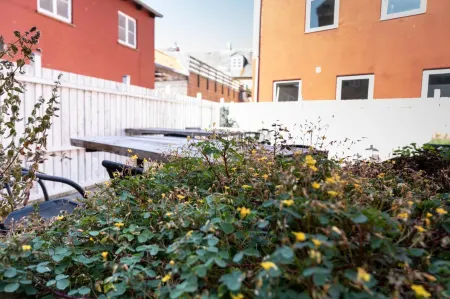 Hotel Harmonien Отели в г. Horslunde