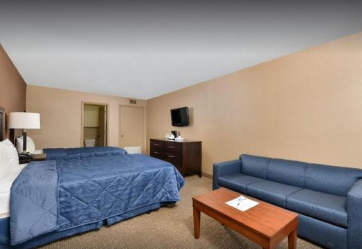 객실 실내 모습