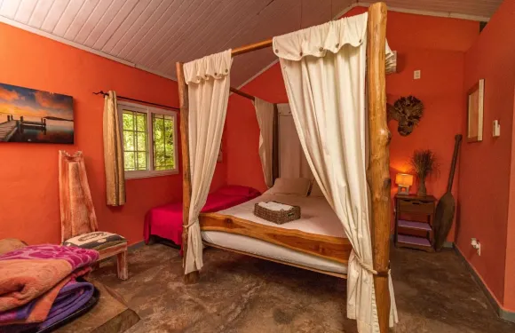 巴拿馬猴子山林小屋住宿加早餐旅館