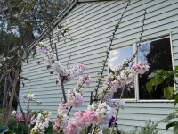 Tindoona Cottages Hotels in Foster