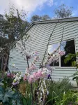 Tindoona Cottages