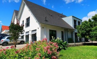 Pension Yvonne - Superior - 8 Minuten Zum Europa-Park