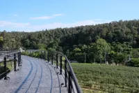 PASSA ผัสสะ Tea Plantation @Mae On