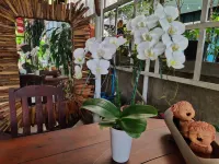 Aunt & Uncle's House
