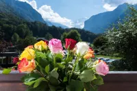 Jungfrau Hotel Annex Alpine-Inn - Mountain view