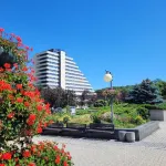 Hotel Cascade - bar