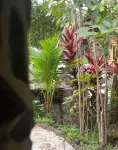 La Chamba Surf House Hotels near Coiba Island National Park