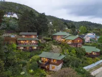 Big Tree House Lodge - Lodges