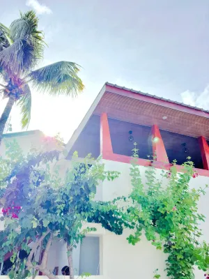 VelaaOlhu - Turtle Hive Thulusdhoo - breakfast