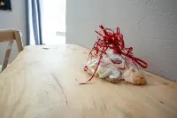 L'Accademia dei Sogni