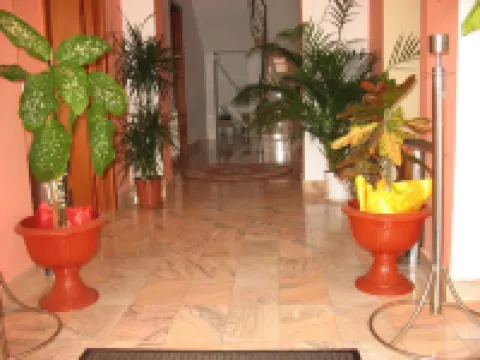 Noroc si Fericire