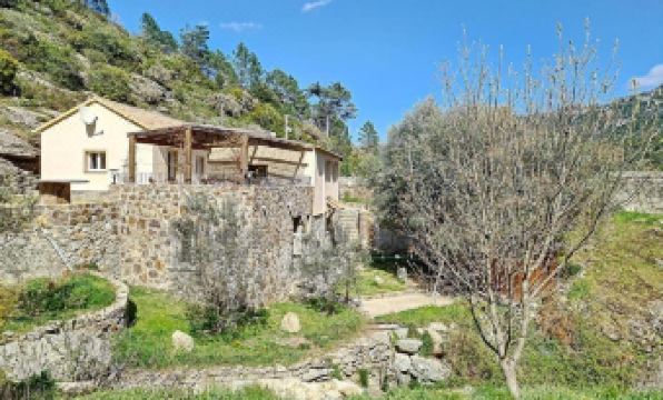 A Guinguetta - Housity