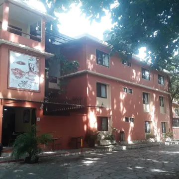 Maya Tulipanes Express