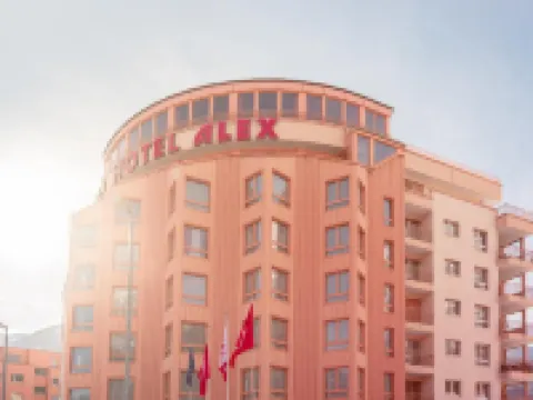 Hotel Alex Business & Spa Hotels in Naters