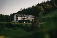 Berghotel Wiedener Eck Hotels in Munstertal