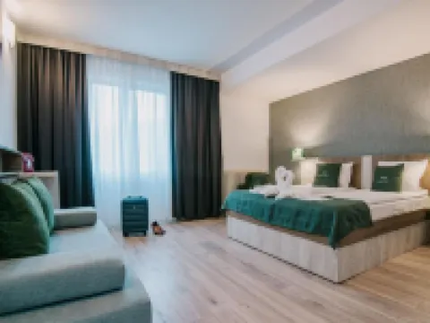 Vila Ursul Negru Hotels in Sovata
