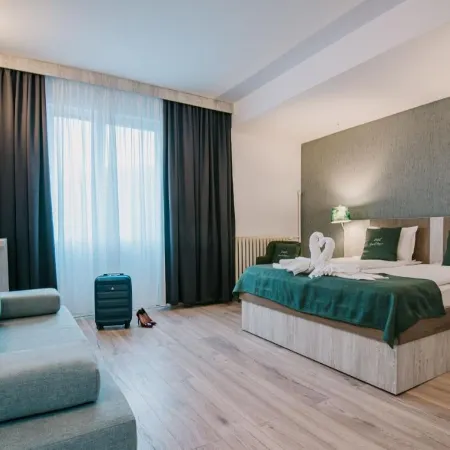 Vila Ursul Negru