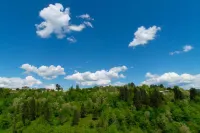 Bagrat Guest House Hotels in Zeda Gordi