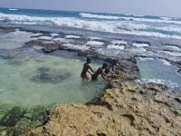 Turtle Beach Talpe Hotels in Habaraduwa