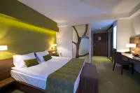Imola Hotel Platan Hôtels à : Szarvasko