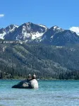 Whispering Pines Hotels in June Lake