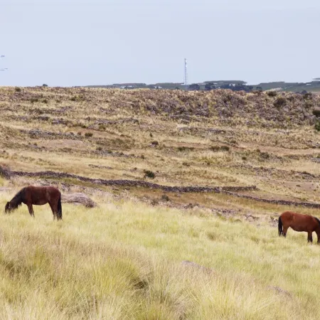 Tierra Espiritual - Andean Holistic Hotel