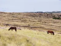 Tierra Espiritual - Andean Holistic Hotel - Desayuno